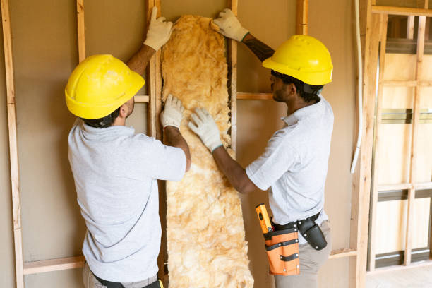 Professional Insulation Services in Escobares, TX